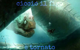Immagine personale
