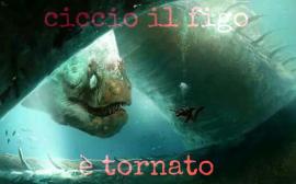 Immagine personale